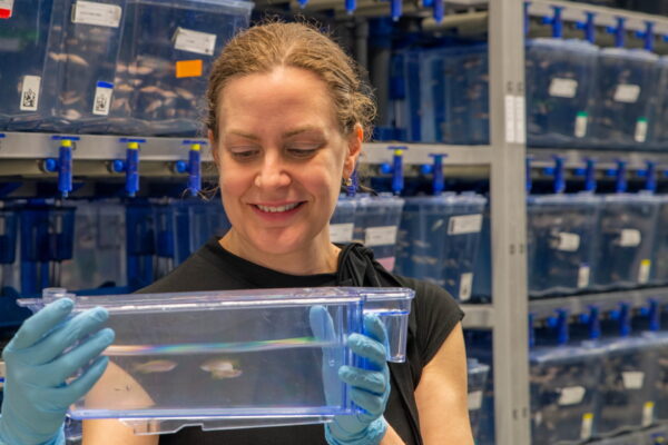 Using zebrafish as a model for human hearing and deafness