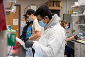 photo of lab bench work