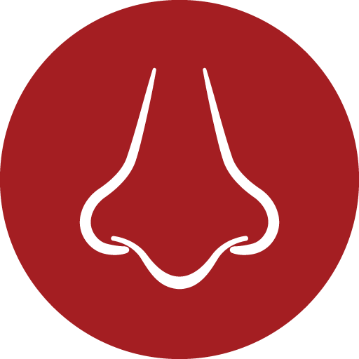 oto nasal icon