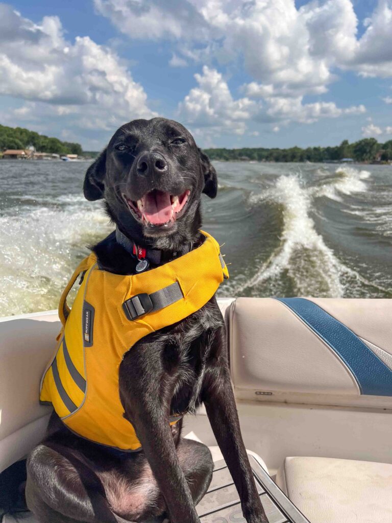 photo of Bowman's dog