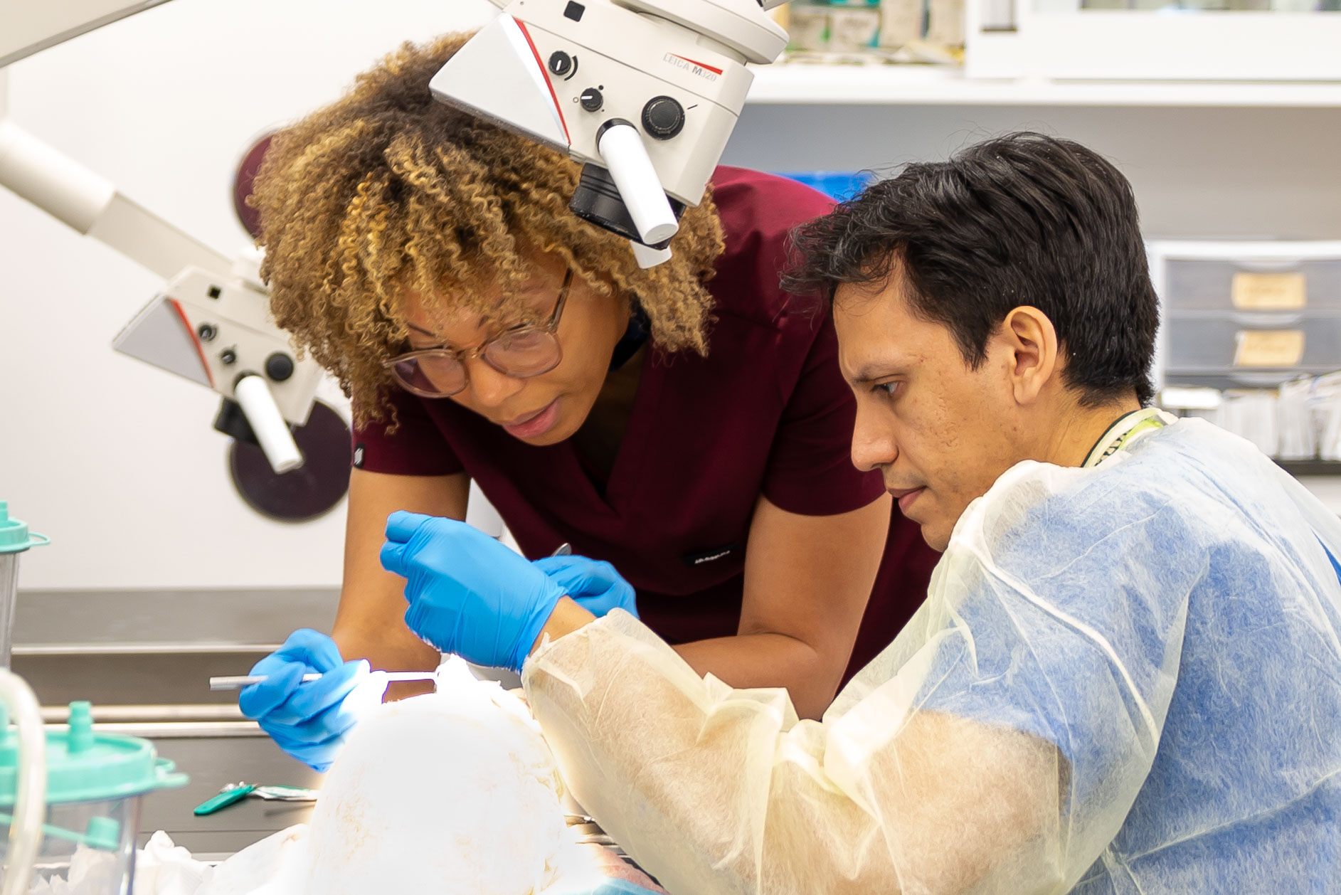 Graduating fellows share next steps
