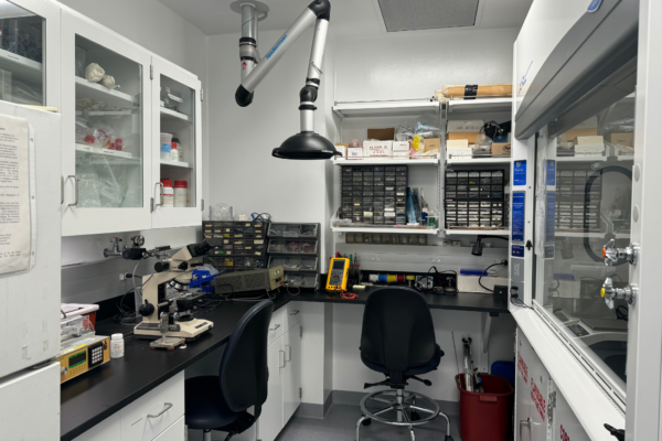 Yakusheva lab moves to the new Neuroscience Research Building