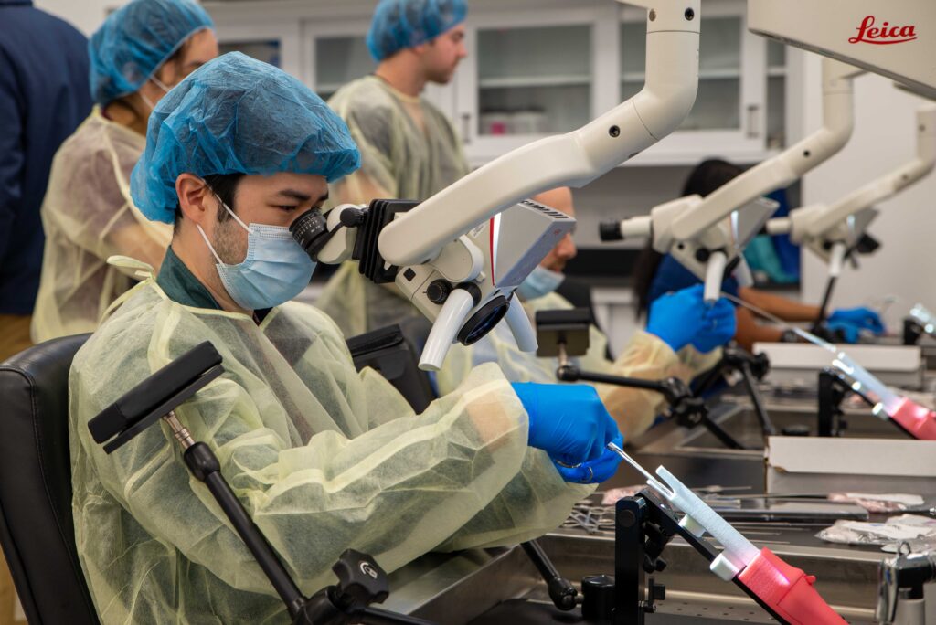 ENT resident James Bao, MD, practices excising vocal fold lesions using a laryngeal simulator.